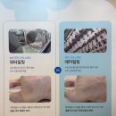 로드 | 익산 하림 치킨로드, 예약부터 후기까지 총정리