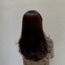유(you)헤어 이미지