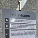 하이멍냥 강아지분양 고양이분양 서울본점 네이버블로그