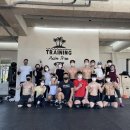 트레이닝팜트리