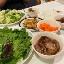 제이제이팜 | [호주 워홀 53-55일차] : 럭비팜 쉐드 출근일상 :)