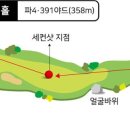 페럼