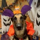 멍블랑 유치원 이미지