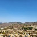 삼덕공원 이미지