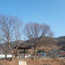 천락 이미지