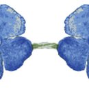 기장청담부동산공인중개사사무소 이미지