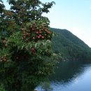 안천초중고교 이미지