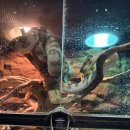 신명PM | 역삼동카페 [슬로우커피] 강남에 위치한 이색카페 방문후기