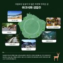 11.11~16(5일) 큐슈 야쿠시마 "원령공주+수령7000년 죠몬스기" 트레킹+섬일주 관광 이미지