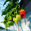 비량농원 이미지