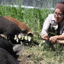 돈수농장 이미지