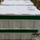 성림농장2 이미지