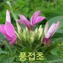 좋은생각 이미지