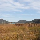 소라면 가사리 이미지