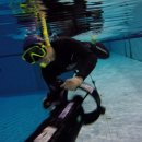 스킨스쿠버, 스킨다이빙(화) 이미지