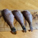 볼락 밤낚시 체험 이미지