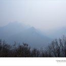 오닉스 이미지