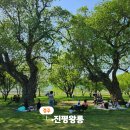 진평왕릉 화장실 네이버블로그