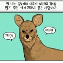 메리놀피부과의원 이미지