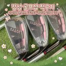 강남-247 | 강남 골프샵 다이와 온오프 FF247 여성 아이언 시타 후기