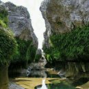 효림초정문 이미지