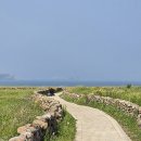 제주도 가파도 여행 후기: 배 예약 및 시간, 청보리, 볼거리 등