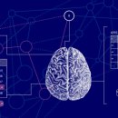 GOOD LIFE DOG 이미지