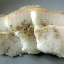 승수농장 이미지