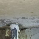 샘마을대우 이미지