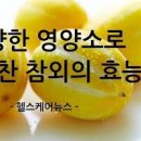 참외 몸에 좋은 참외 1개 칼로리 이미지