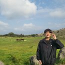 제주 오름 산책 | 제주 용눈이오름 방문 후기 – 말과 함께한 힐링 산책