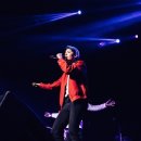에프엑스투어