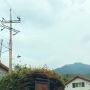 소소화개 이미지