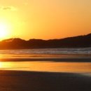 주식회사 펫츠고트래블 이미지