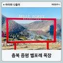영민목장 | 충북 증평 벨포레리조트 목장 겨울방문 후기, 양떼, 금강앵무, 아이와 가볼만한 곳, 가족여행 추천