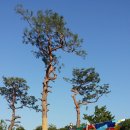 동산화원 이미지