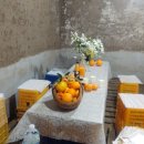 오세열농장 이미지