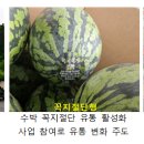 연천축산영농조합법인 이미지