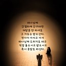 선의 빛 이미지