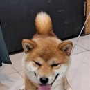 의림대로 이미지