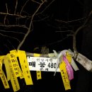 황매산만남의광장화장실 이미지