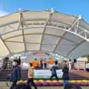 혼디 민박 이미지