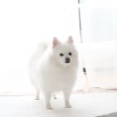 쓱싹 이미지