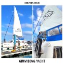 [제주도 여행 11탄] 김녕요트투어 돌고래요트 GNYTOUR 추천