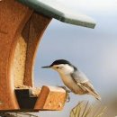 조리푸르지오(파주푸르지오) 이미지