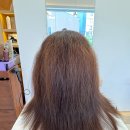 유올리 | 극손상 곱슬머리, 윤기나는 찰랑머리로 다시 태어나다. 일원동 대청역 미용실 유올리에서 물광매직후기