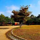 서호공원 이미지