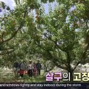 만금 2농장 이미지