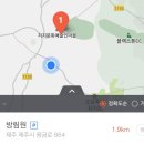 제주비내린 후 방림원 야생화 매력에 빠지다