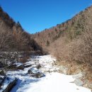 오대산펜션 이미지